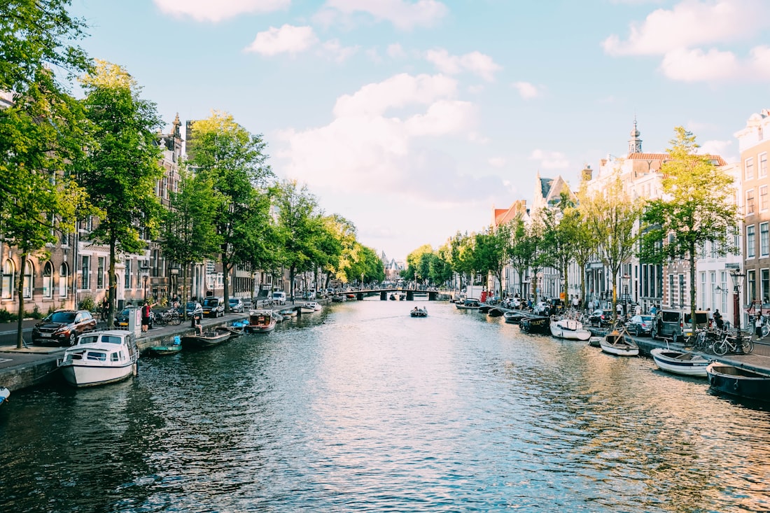 Amsterdam canal lined with trees and townhouses